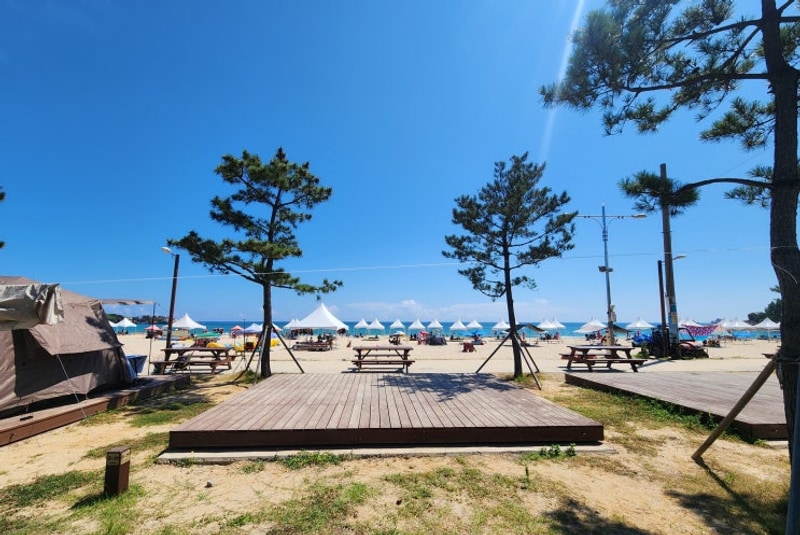 강원도 고성] 오호캠핑장_오션뷰 & 송지호해수욕장이 바로 앞!