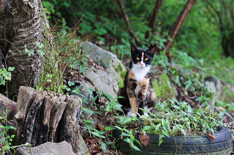 테토양평캠핑장 시설 사진 5