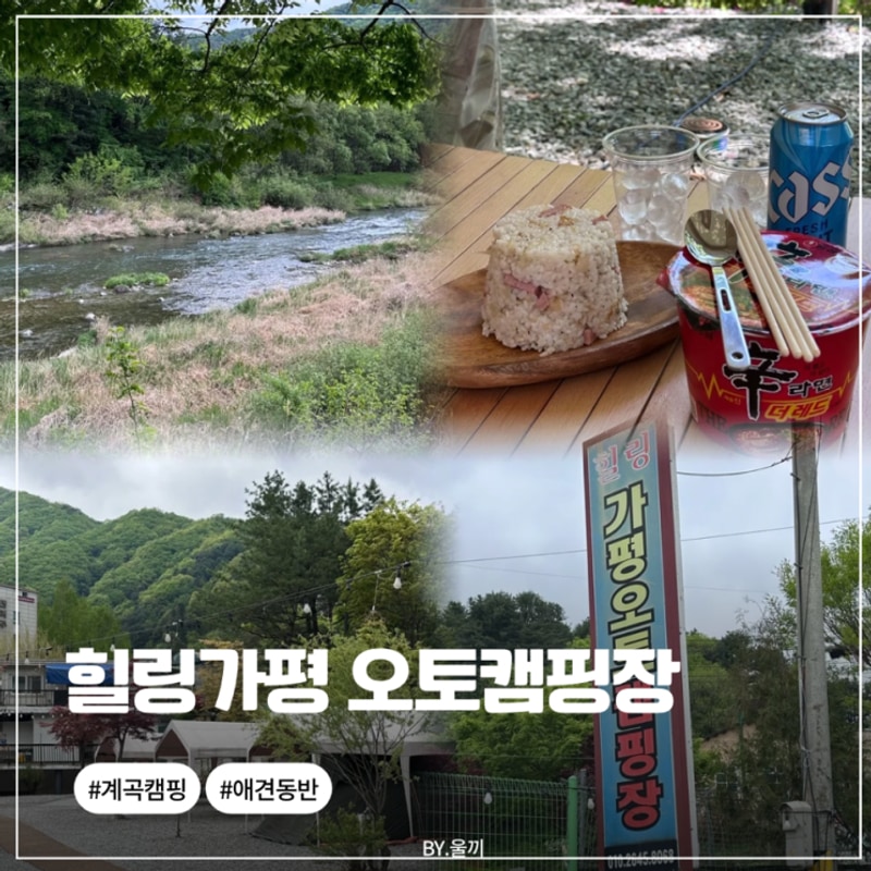 가평 캠핑장 추천 | 자연을... 사이트 “힐링 가평 오토캠핑장...