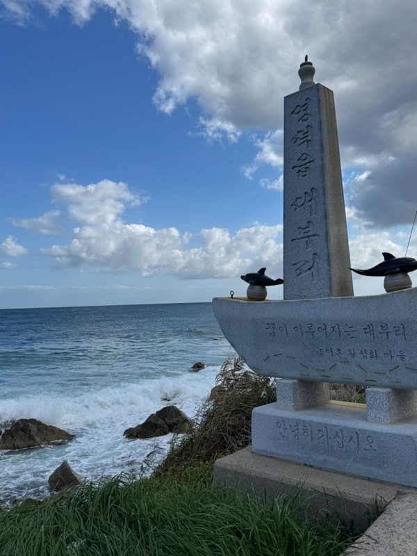 강구농협점 → 영덕 글램핑(스페이스영덕) → 보움카페...