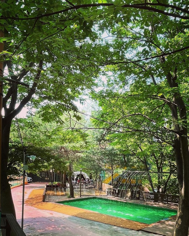 반달곰이 살던 숲 시설 사진 5