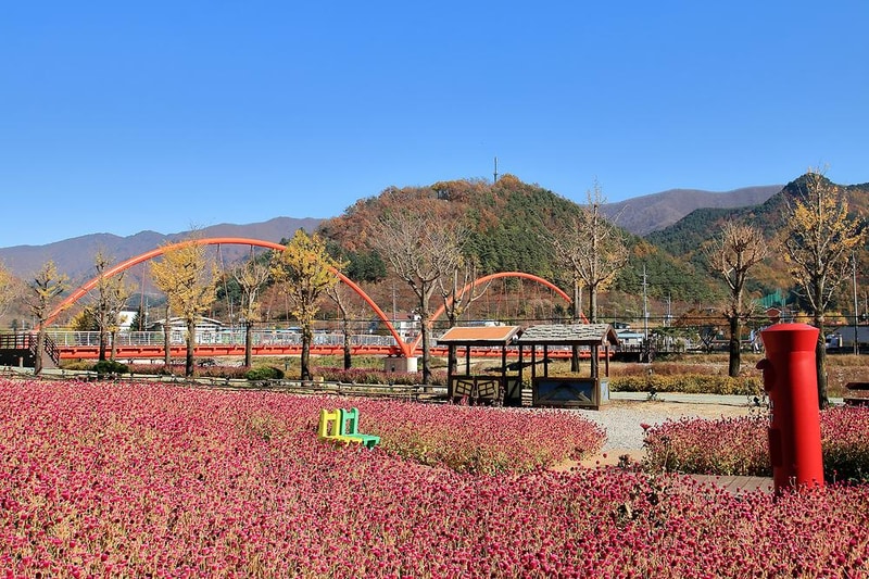 꿈의대화캠핑장 시설 사진 7