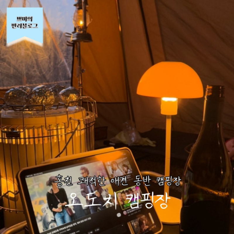 홍천 애견 동반 오도치 캠핑장 C존 3,4번 사이트 이용 후기