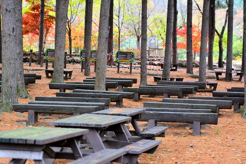 국립유명산자연휴양림(일반) 시설 사진 14
