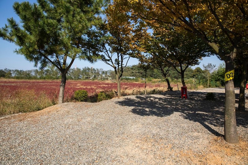 선재오토캠핑장 시설 사진 12