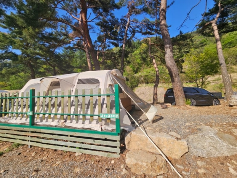 캠핑일기(횡성 팜스프링 야영장)