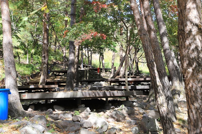 국립두타산자연휴양림 시설 사진 2