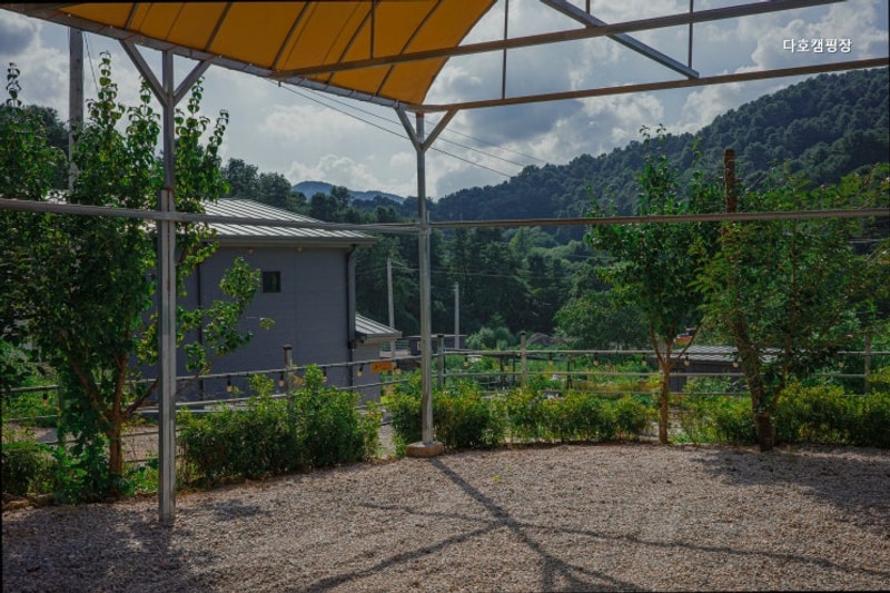 [포천 캠핑장] 다호캠핑장 프라이빗한 캠핑 공간