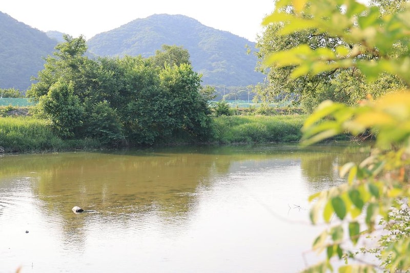 산수향 야영장 시설 사진 4