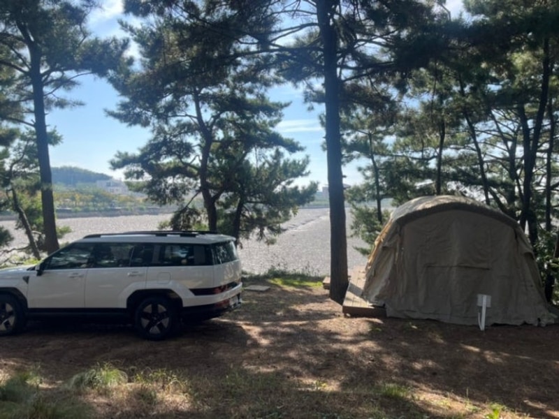 안산 대부도 아라뜰캠핑장 :: 저수지뷰 캠핑장 추천