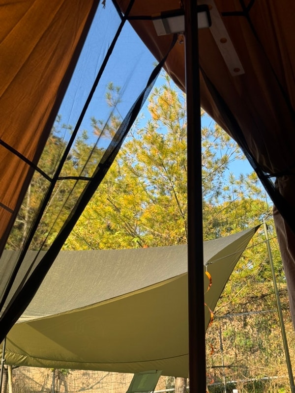 11/1 여주 그린바움 캠핑장