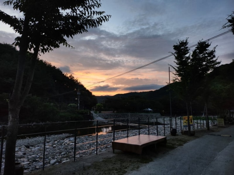 청도 포레스테이 애견동반 계곡 캠핑장