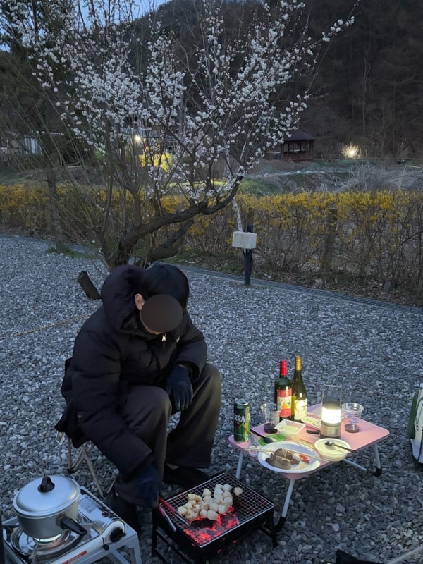 파주 벚꽃 캠핑장 초리풍경 방문 후기(+쿠팡화로대)