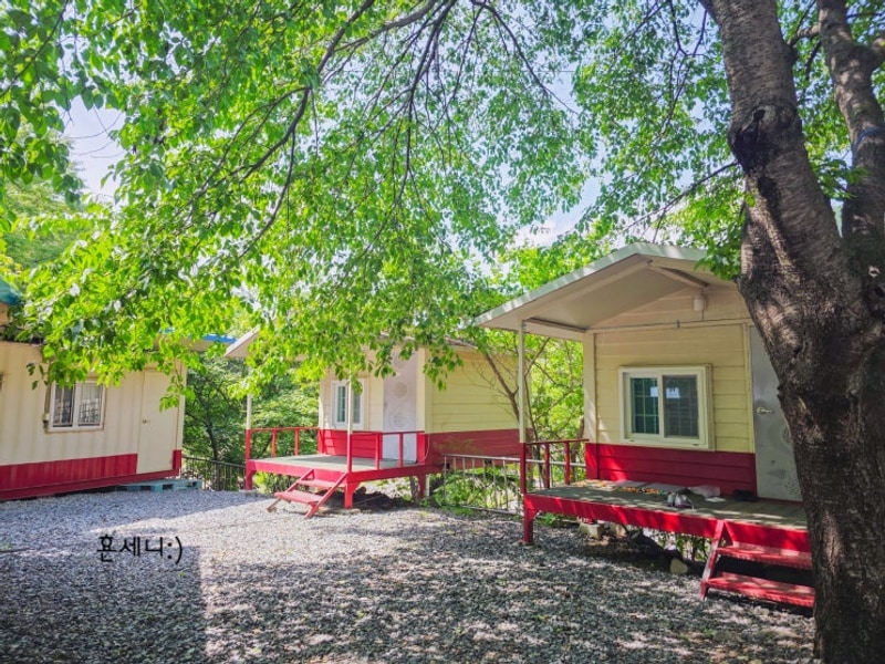 경주 반딧불이 캠핑장 방갈로 오토캠핑 계곡까지(애견동반)