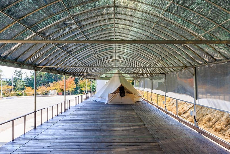비손관광농원 야영장 시설 사진 8