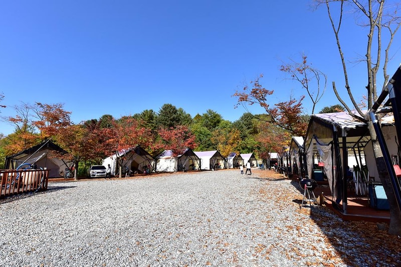 메이플트리글램핑 시설 사진 9