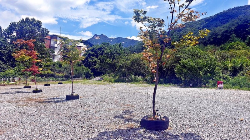 SOL Camping 시설 사진 4