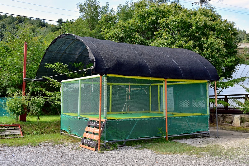 넓은마당캠핑장 시설 사진 39