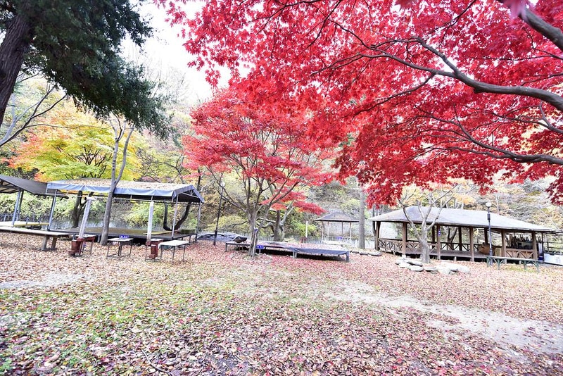 유명산밸리캠핑장 시설 사진 5