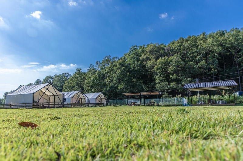 개차반캠핑장 시설 사진 11