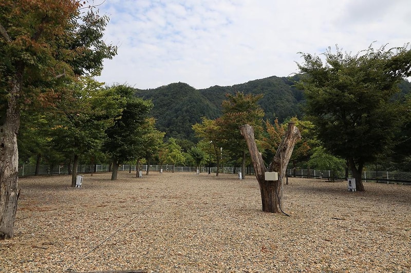 블루래빗 시설 사진 13