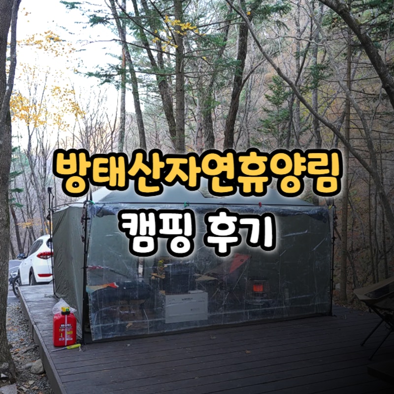 인제 방태산 자연휴양림 캠핑장 데크 리뷰 이용 및 예약 방법