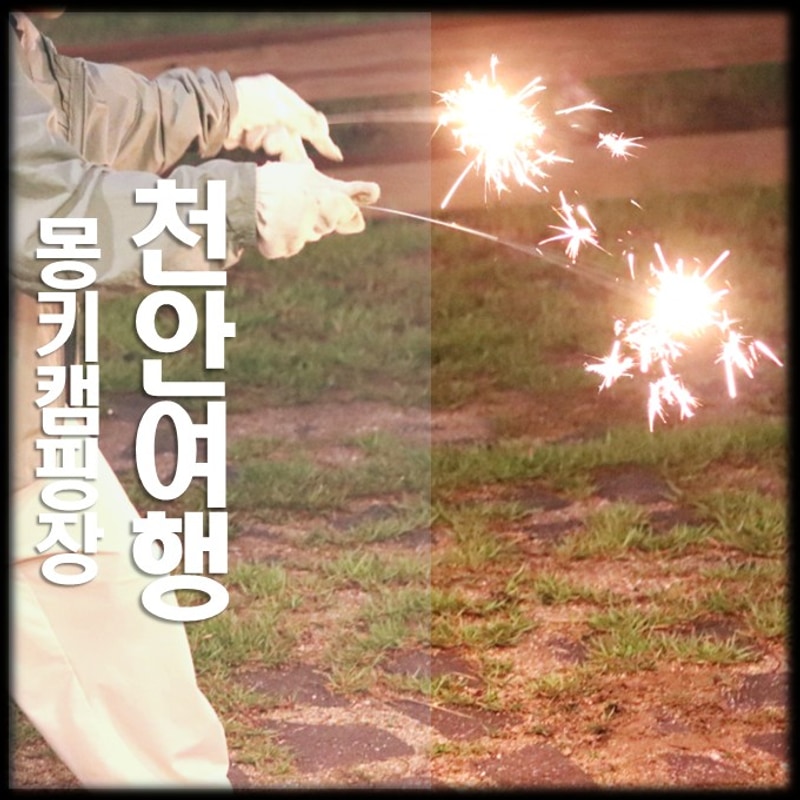 회사 워크샵 장소 글램핑장 추천 천안 몽키캠핑장