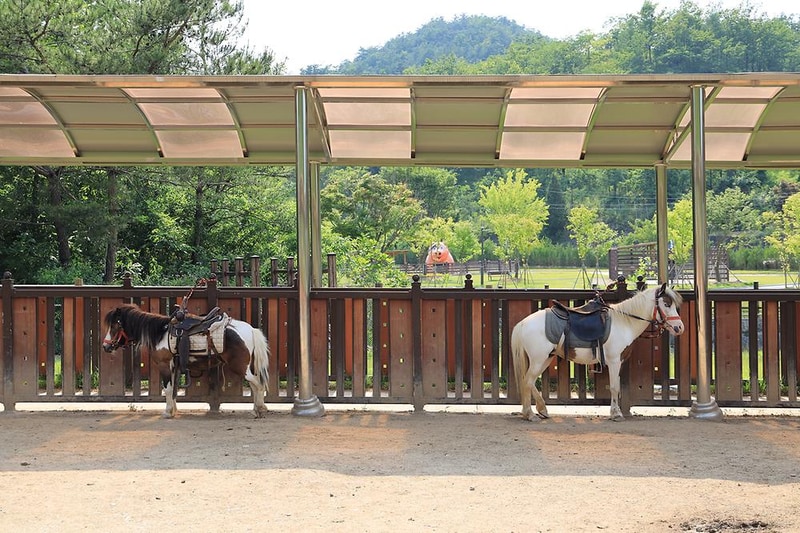펫힐링 달빛동물원 캠핑장 시설 사진 15