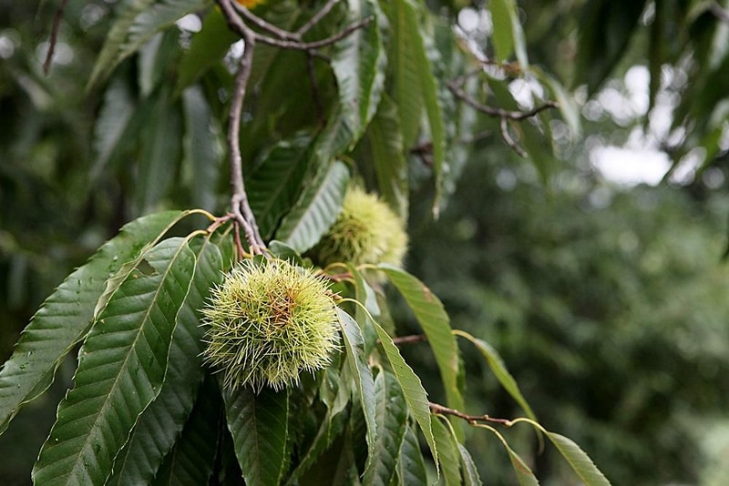 쿼크밸리캠프 야영장 시설 사진 21