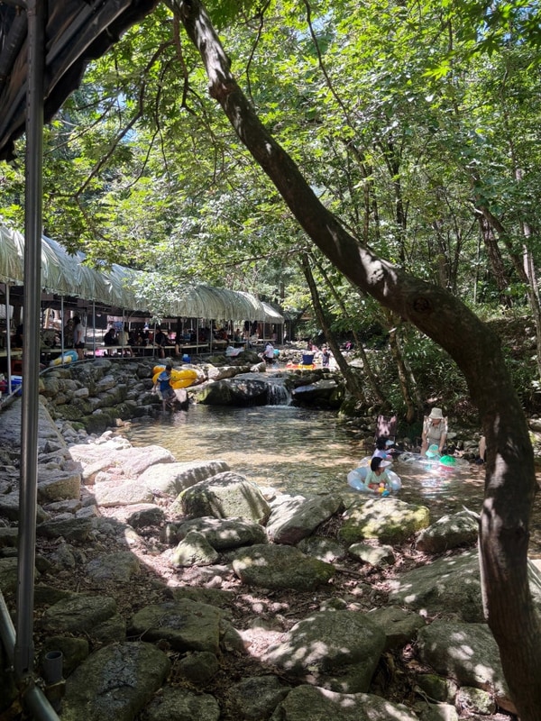 충주 수안보 계곡 평상 캠핑장, 소나무숲아래