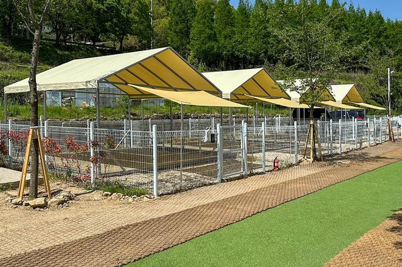 감동스테이캠프 대표 사진