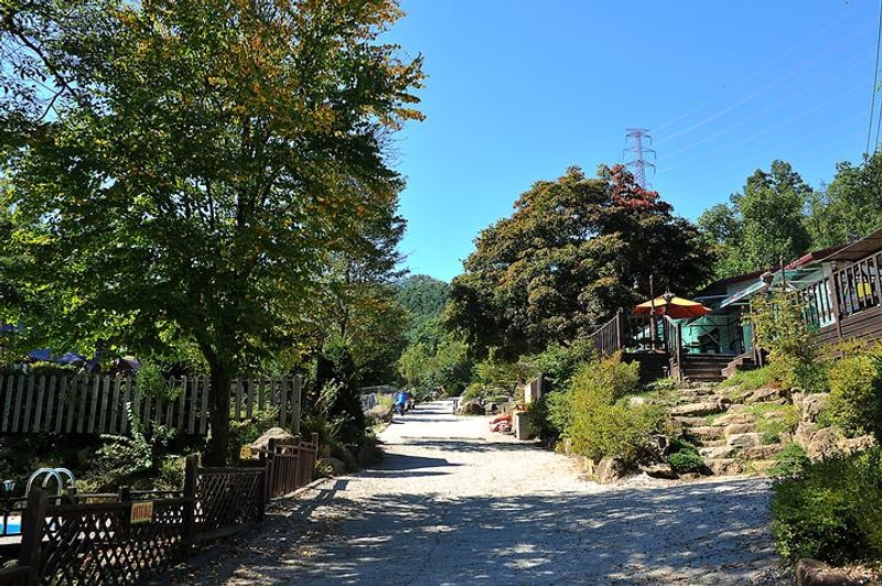 광릉솔개캠핑장 대표 사진