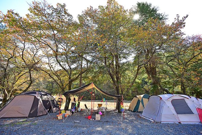 도토리캠프 대표 사진