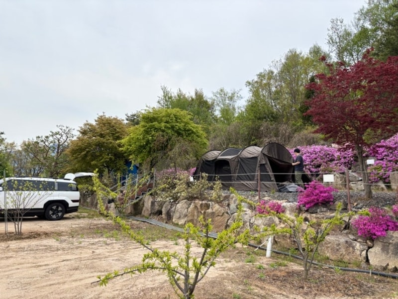 강원도 캠핑) 철원가산농원캠핑장