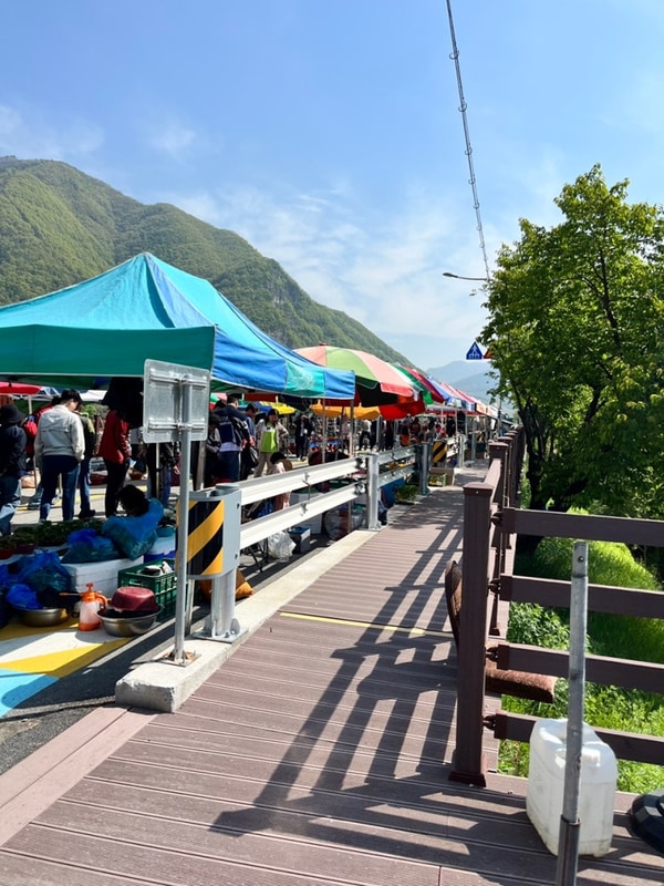 25년 05월 영월 2박 3일 | 영월 별빛캠핑장 (애견동반)