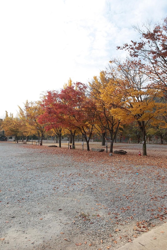 괴강관광농원 시설 사진 91