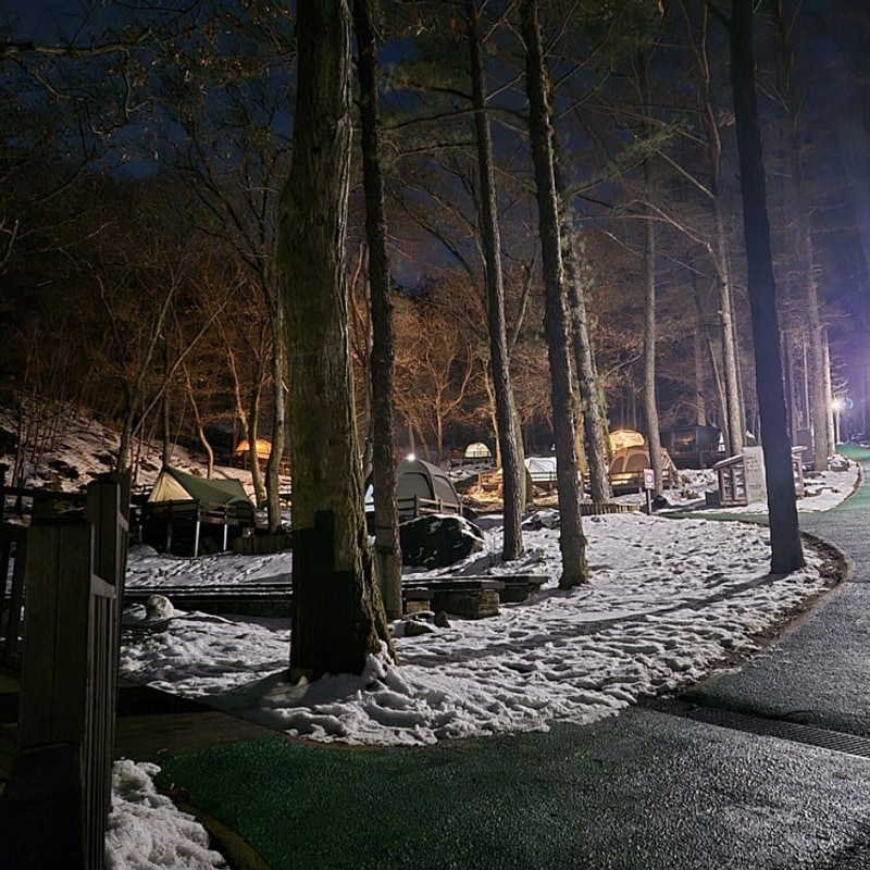 캠핑 371회, 용인자연휴양림(2025.09.20)