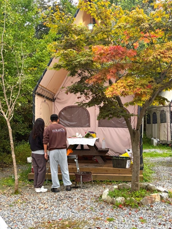 서울근교 글램핑 가평 애견동반 516글램 카라반 감성 가성비...