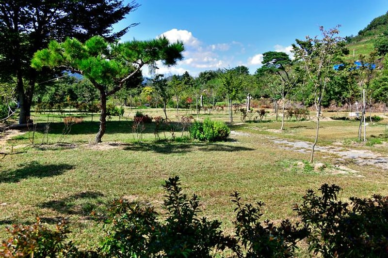 목사골 야영장 대표 사진