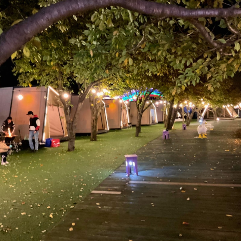 청도 프로방스 글램핑 | 빛축제 무료입장까지! 대구 근교...