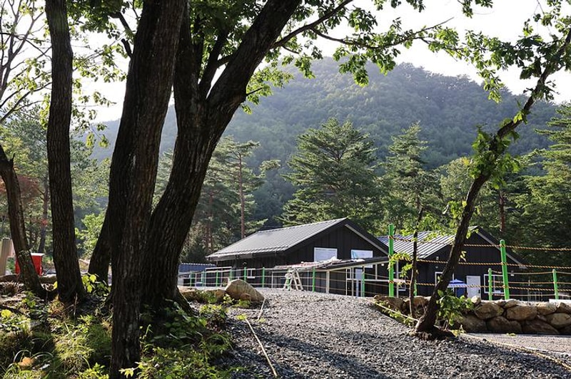법수치오토캠핑장 대표 사진