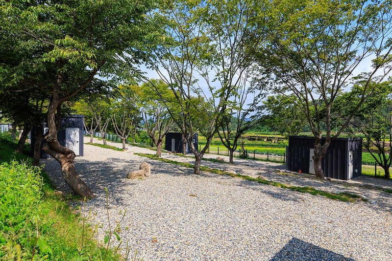 느티담길 캠핑장 시설 사진 14