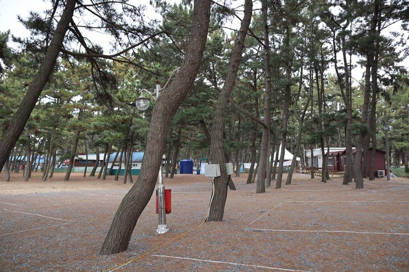 몽산포오토캠핑장 2구역 시설 사진 7