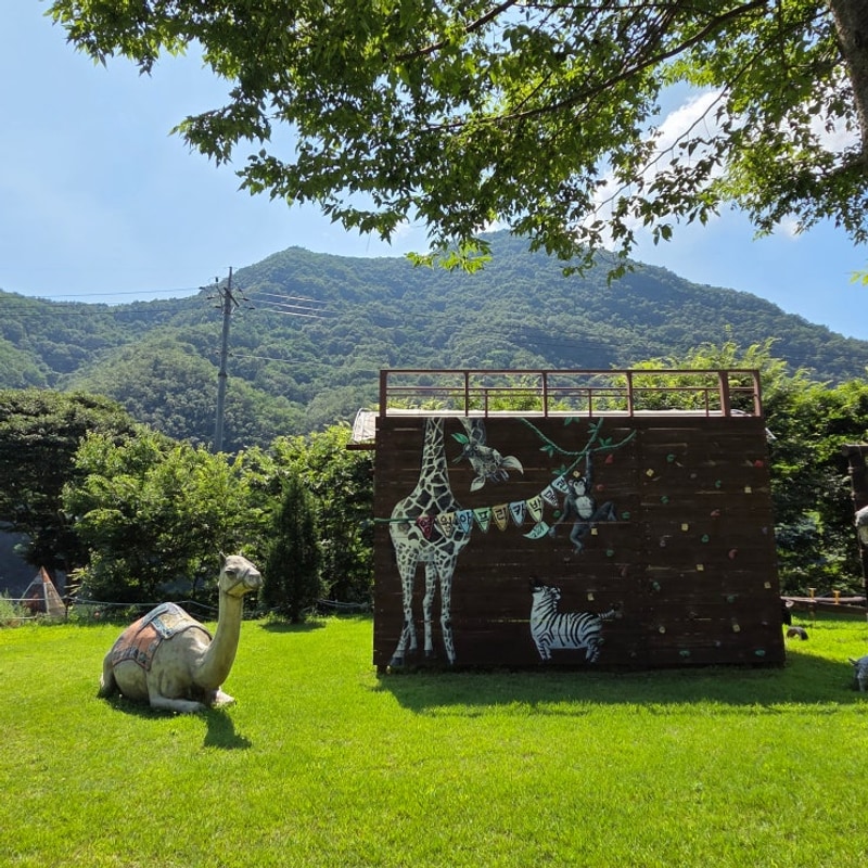 [영월 캠핑장, 영월 캠핑] 땡큐캠핑에서 만난 영월에이미캠핑장...
