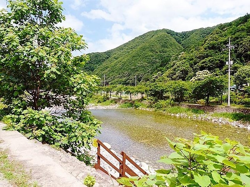 월악파머스캠핑장 대표 사진