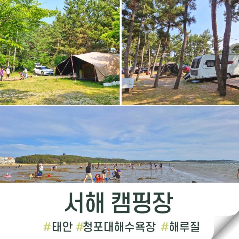서해 캠핑장 해루질 가능한 청포대숲속야영장 추천
