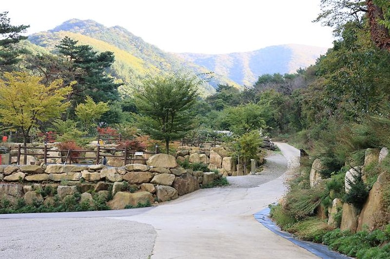 양양오색 휴랜드 야영장 대표 사진