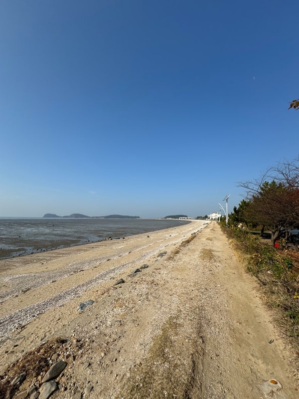 [안산] 대부도 비치캠핑장 오션뷰 !!