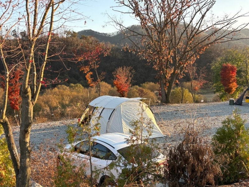 충북 음성 캠핑장 후기: 네이스트 프라이빗 음성(V7사이트)