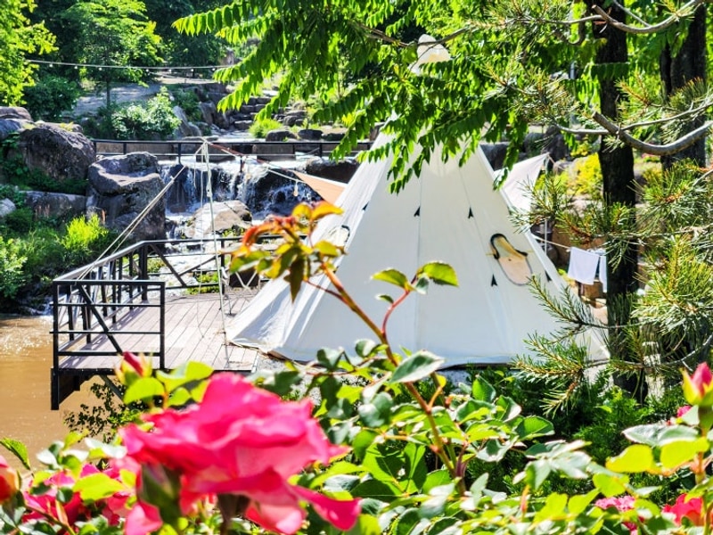 산청 캠핑장 추천, 든해솔계곡캠핑장 가을캠핑 밤줍기 가능